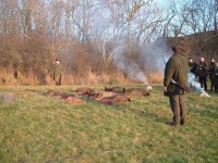 /album/fotogalerie-ze-zivota-ms/litoradlice4-2004-jpg/